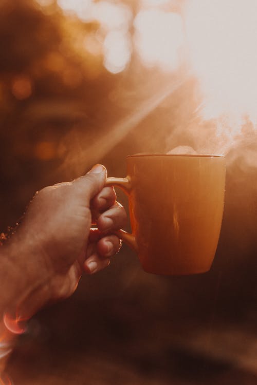 Free Photo of a Person's Hand Holding Orange Mug Stock Photo