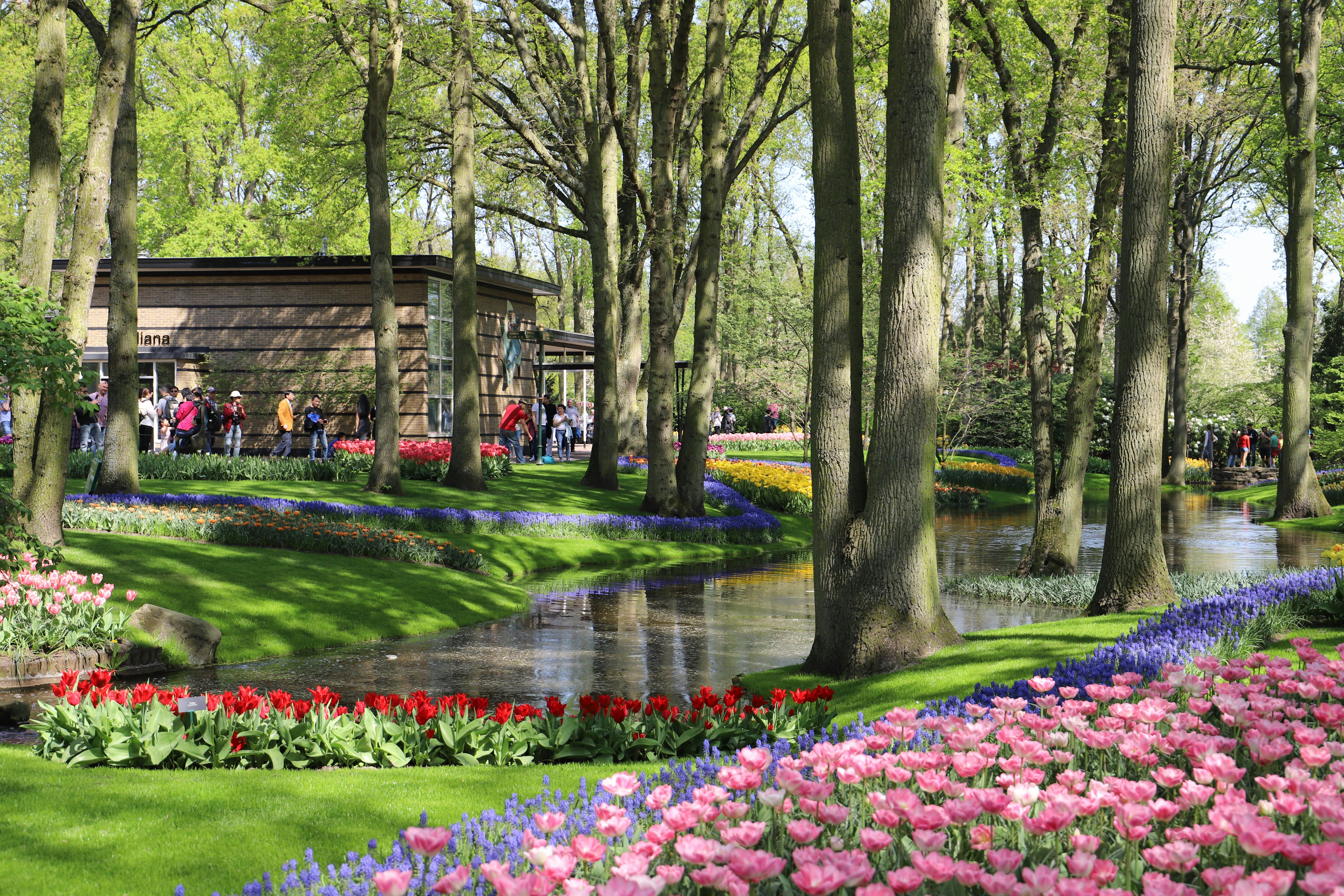 CFTV IP vs Analógico: Migração e ROI em 2025