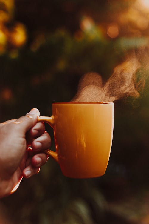 Free Photo of a Hand Holding Out a Steaming Cup Stock Photo
