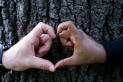 Gratis lagerfoto af afroamerikanske folk, hænder, sort