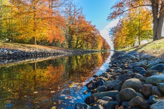 Clear Body of Water Between Yellow and Green Leaved Trees