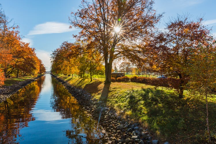 Brown Tree Near Green And Brown Grass Beside River