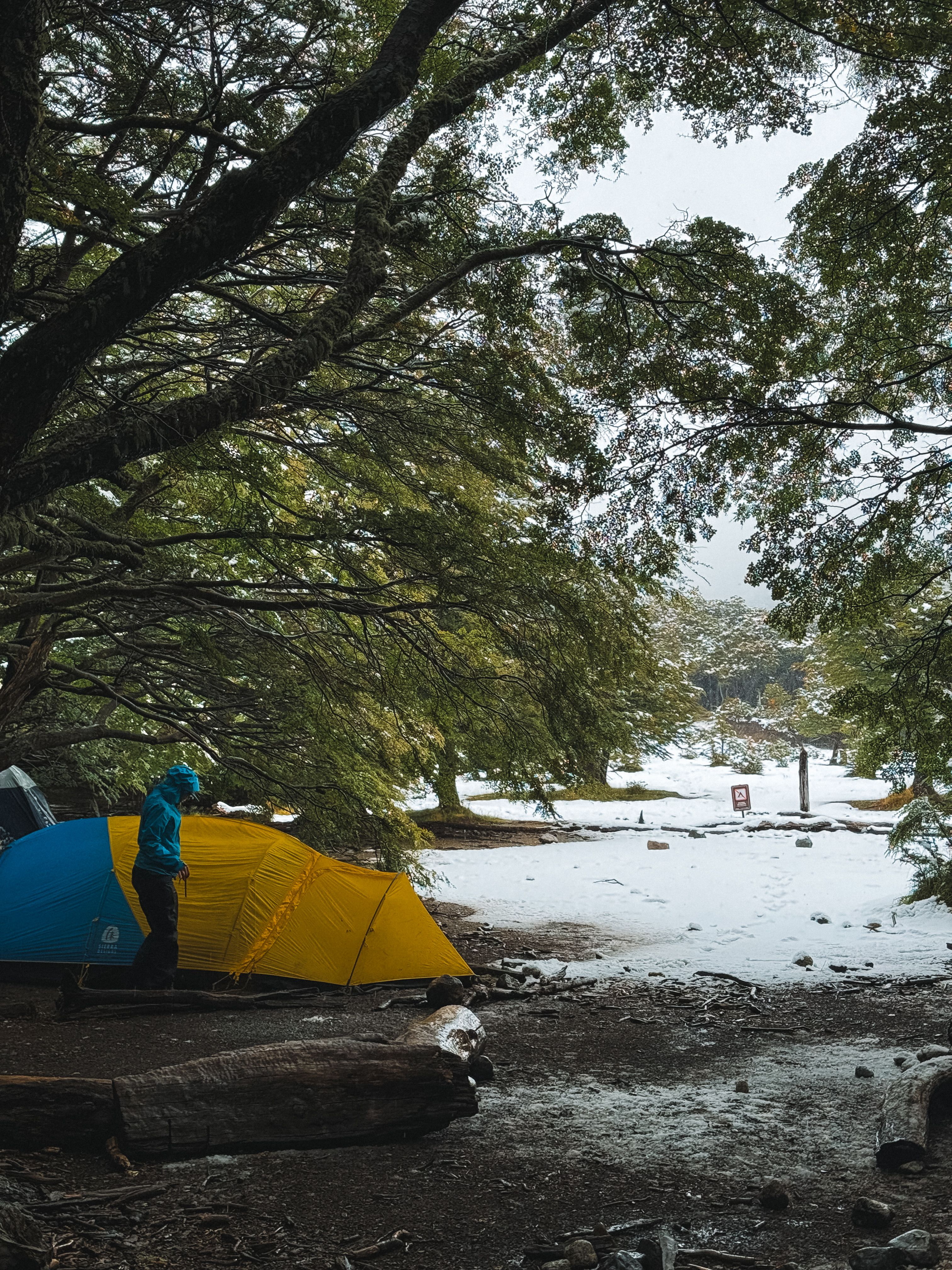 Person with Tent Set up under Tree in Park ·