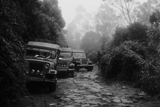 Detail shot of fresh spices being harvested in a Kerala plantation