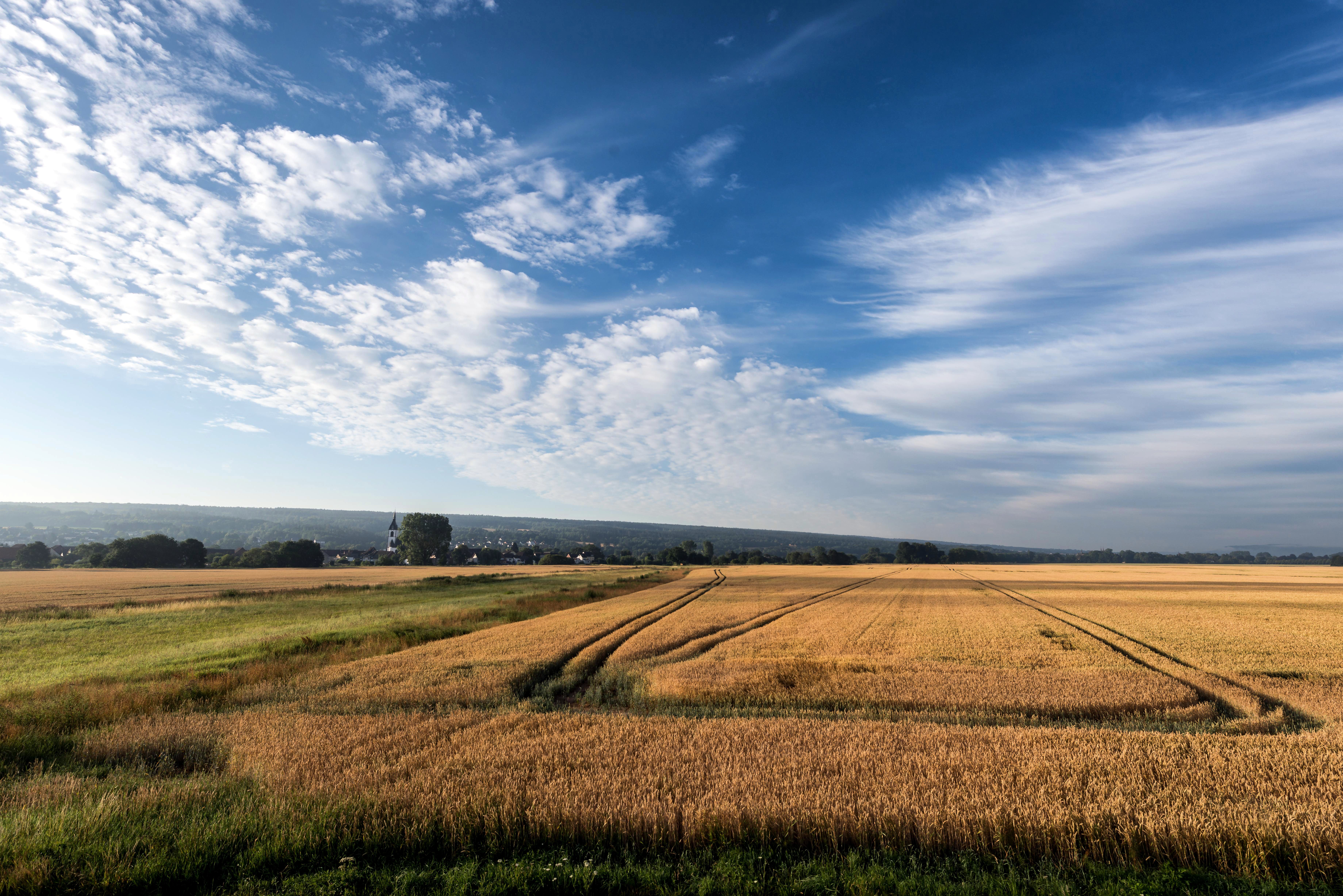 Fields in Countryside · Free Stock Photo