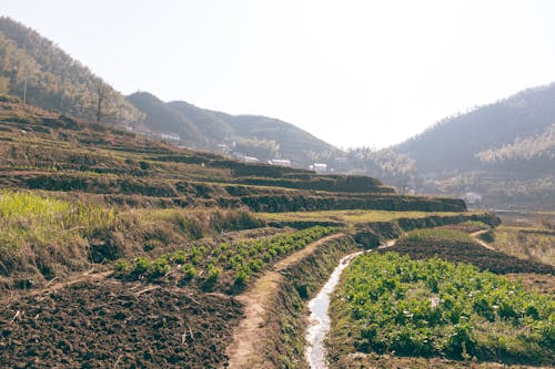 Free stock photo of hills, terraces, valley