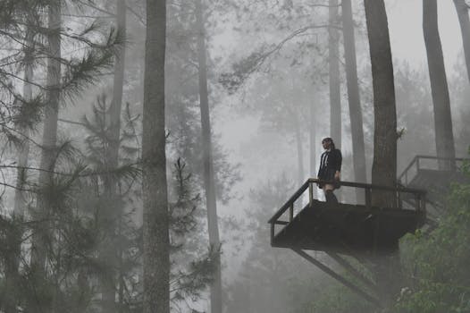 在印度尼西亚爪哇帖木儿一片雾蒙蒙的森林中，一个人站在观景台上