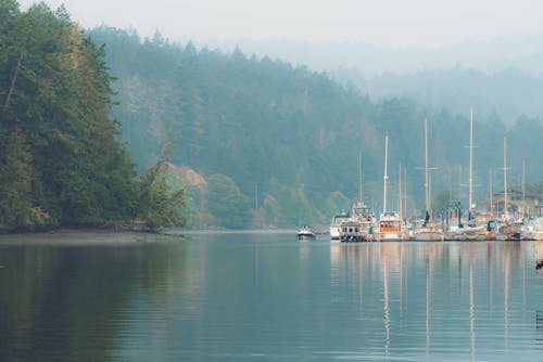 Photos gratuites de bateaux, brumeux, calme