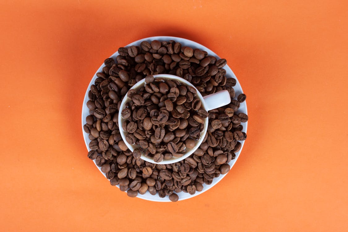 Free Coffee Beans in Cup Stock Photo