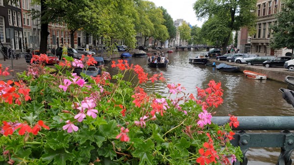 Alejandro Vega Torres