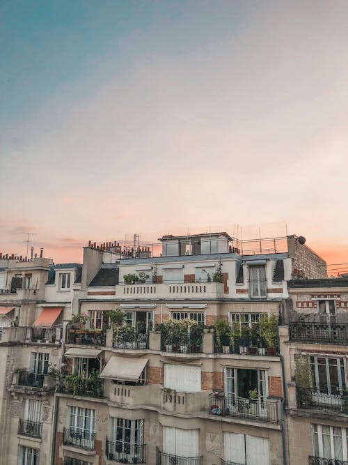 White Concrete Houses