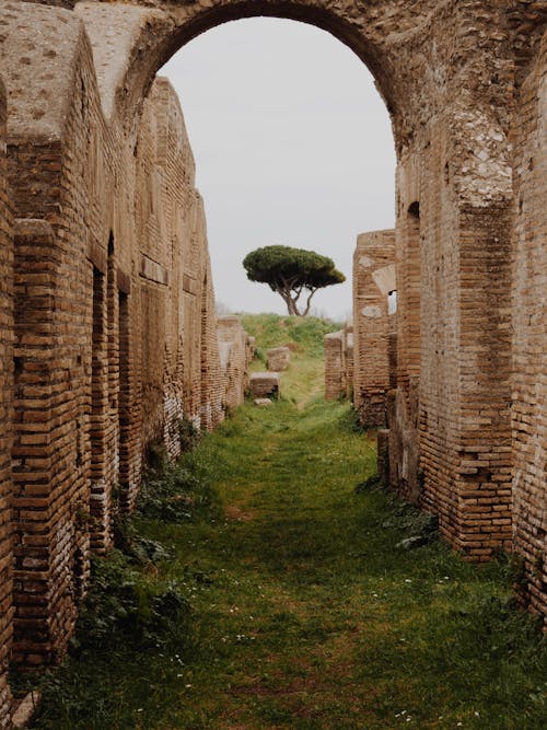 Ruins Near Tree