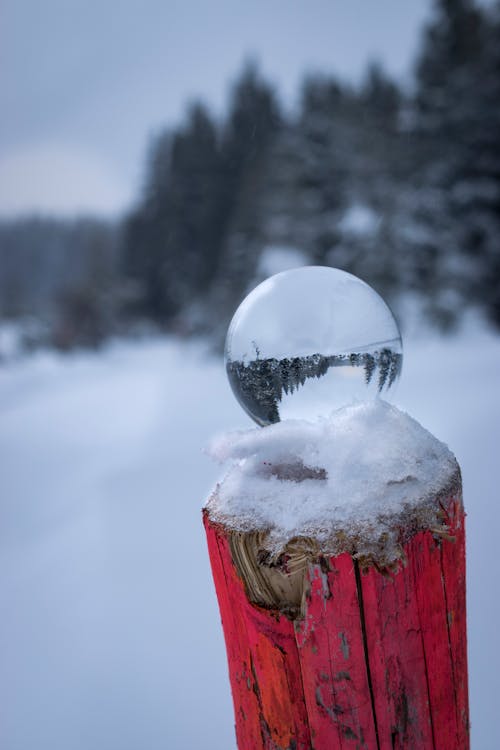 Free stock photo of lensball, snow, winter Stock Photo