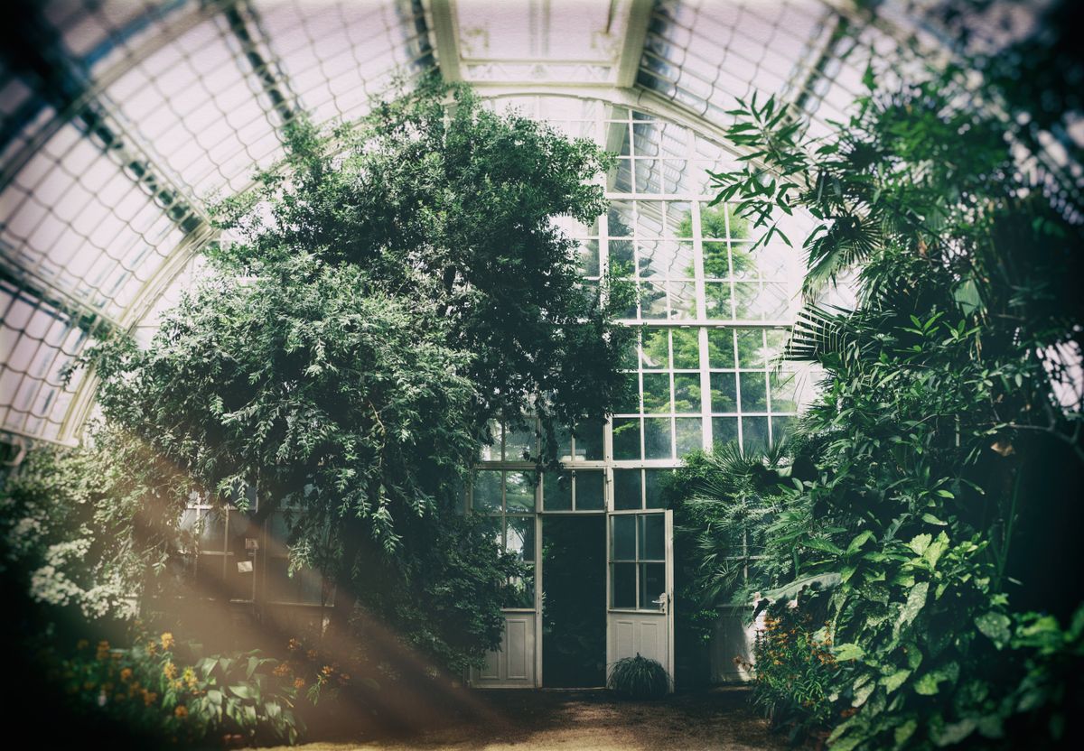 玻璃温室室内绿植景观
