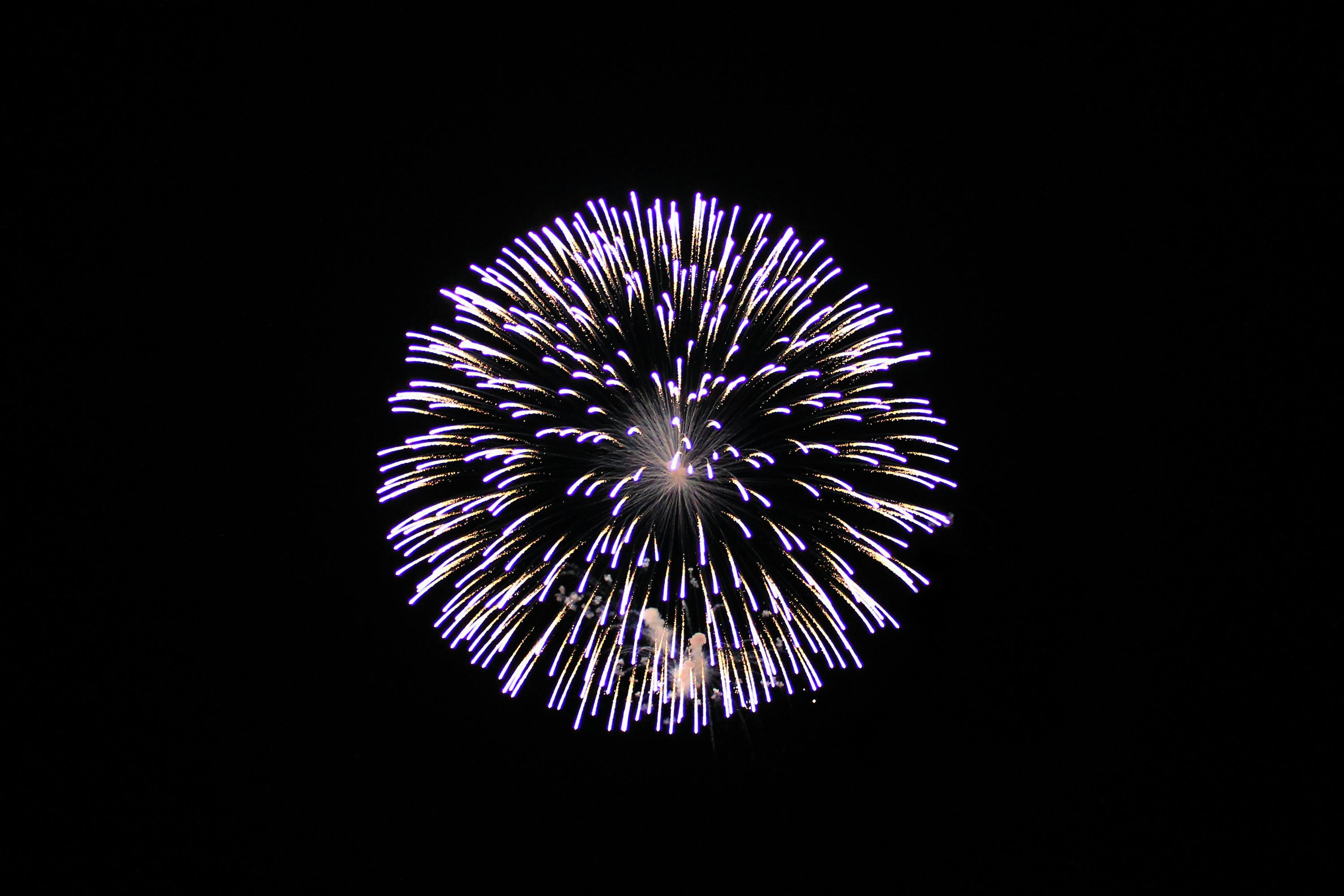 A stunning purple fireworks explosion lighting up the night sky, captured perfectly in Rostock.