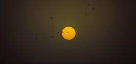 斋浦尔的傍晚，夕阳映衬着鸟儿的轮廓，令人着迷