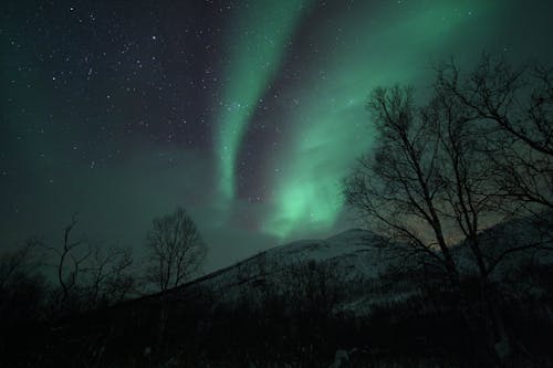 Gratis arkivbilde med nattlys, nordlys, norge