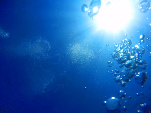 Free Water Bubbles Stock Photo