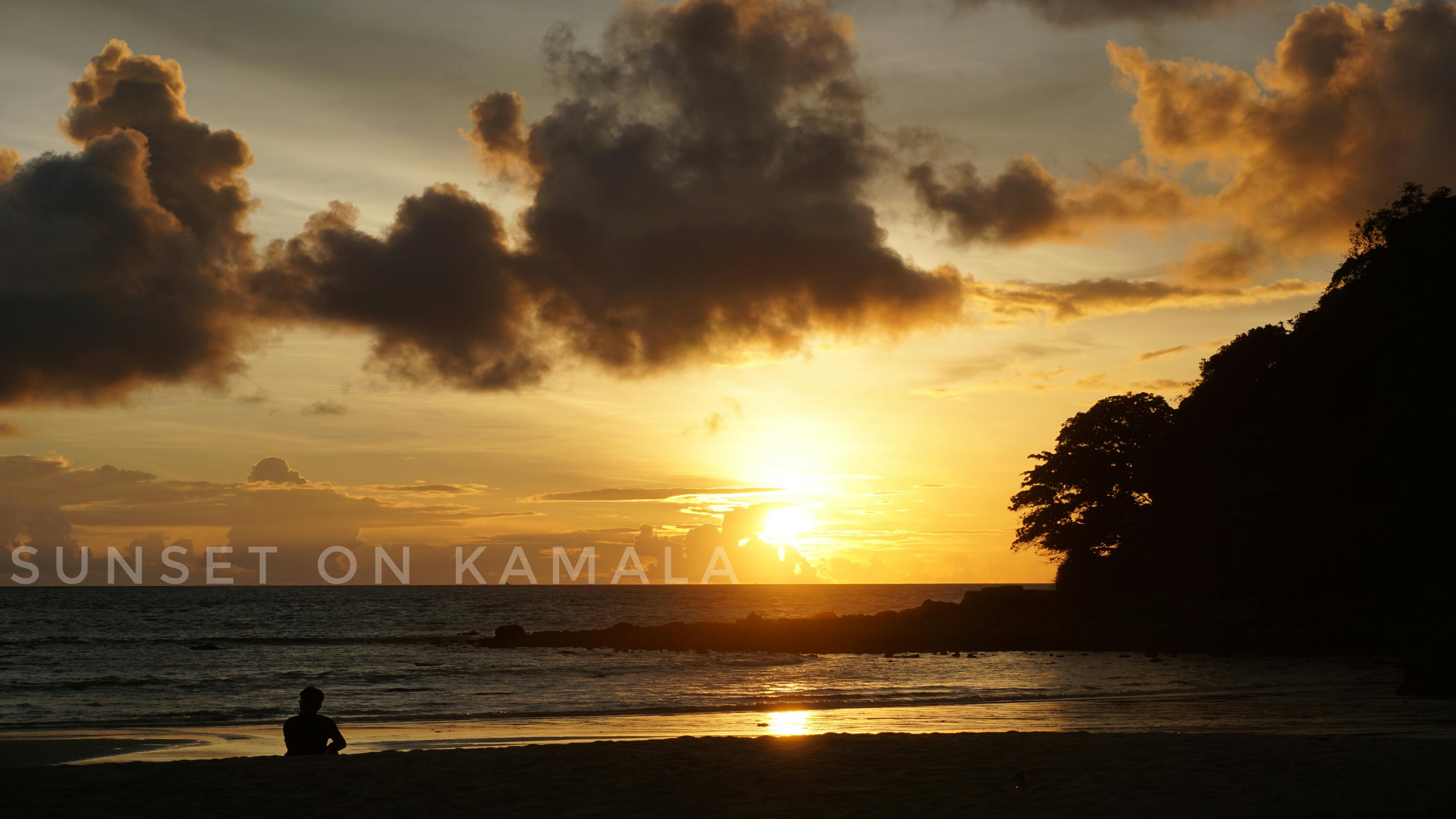 Puppy playing with toy