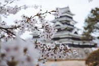 日本历史悠久的城堡在春天被樱花勾勒出来