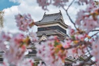 风景如画的樱花映衬着日本传统城堡，捕捉到了春天的精髓