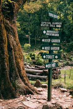 加德满都郁郁葱葱的花园里，指示牌标明了各种景点
