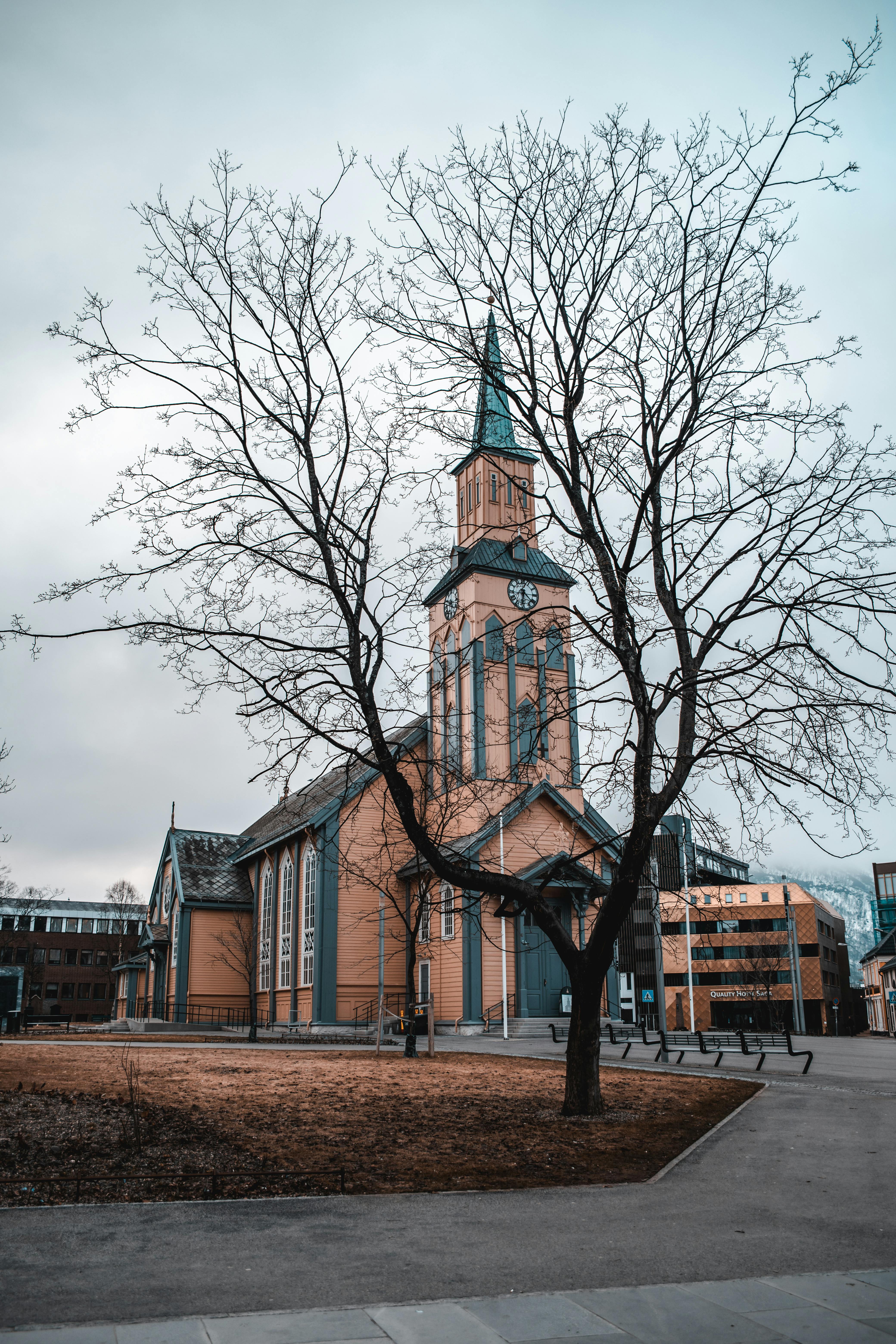 一座历史悠久的教堂风景如画，高高的钟楼和一棵光秃秃的树，映衬着秋天柔和的色彩