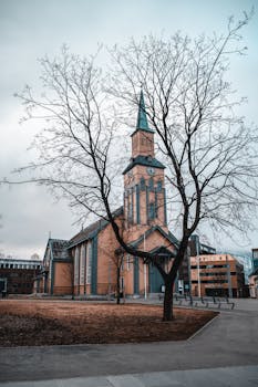 一座历史悠久的教堂风景如画，高高的钟楼和一棵光秃秃的树，映衬着秋天柔和的色彩