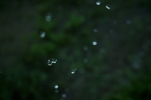 Základová fotografie zdarma na téma déšť, gravitace, kapky