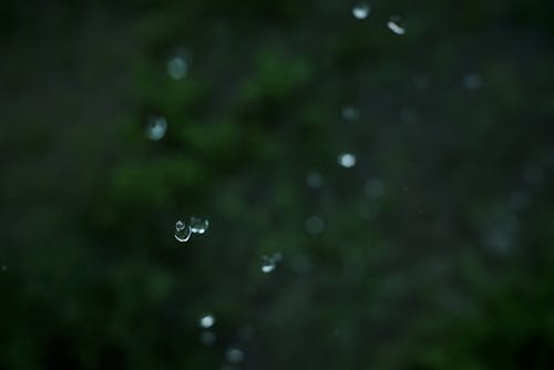 Free stock photo of dark, drops, gravity