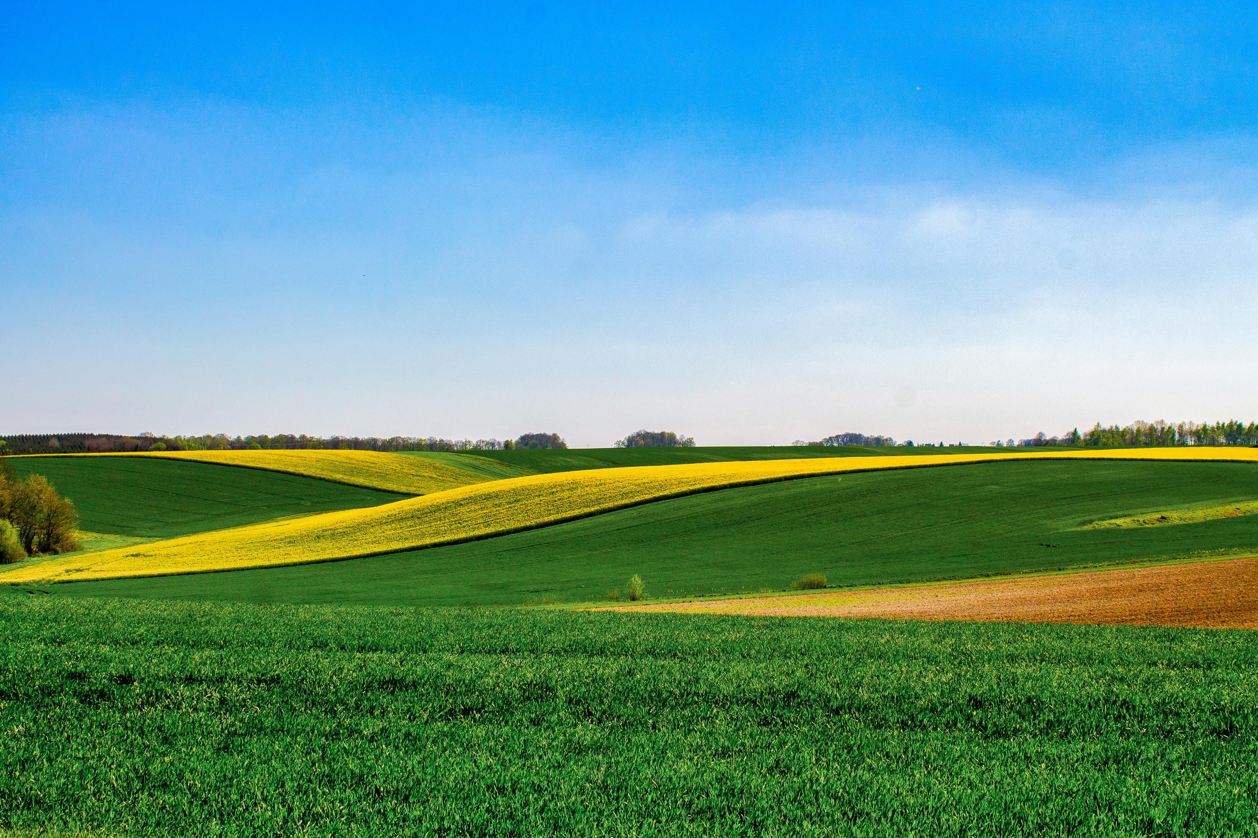 agriculture wallpaper