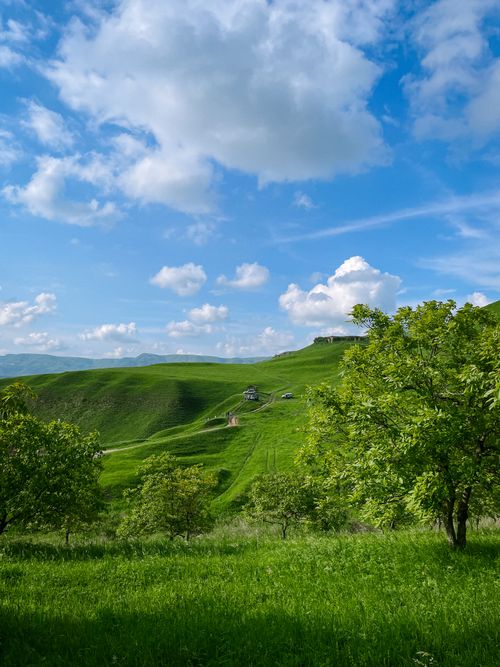 Free Peaceful landscape with lush green hills and scattered trees under a bright blue sky with fluffy clouds. Stock Photo