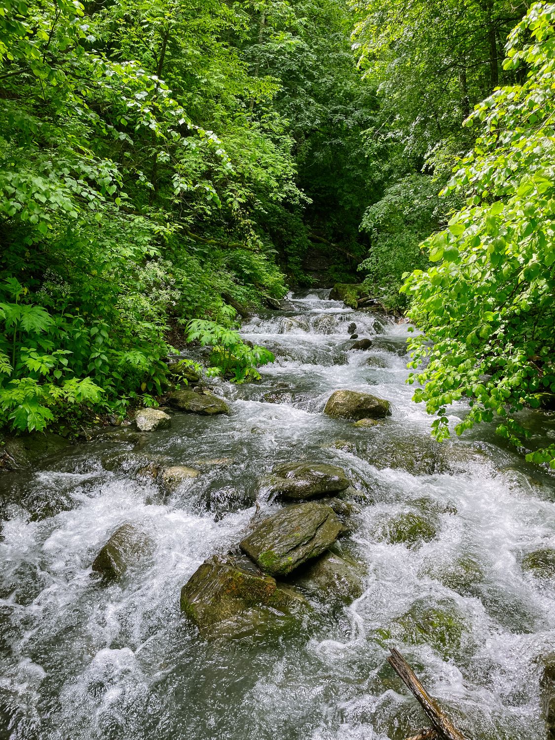 Wild Rivers Pics Rocks in Wild River · Free Stock Photo