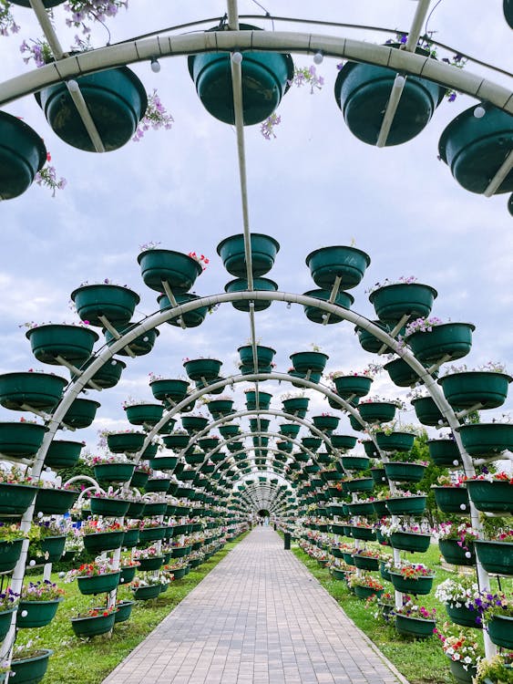 A walkway with many flower pots hanging from it