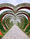 A walkway with a heart shaped archway in the middle
