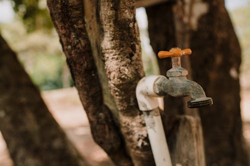 Free Faucet Stock Photo