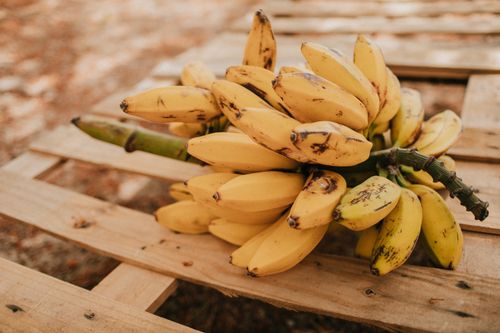 Free Bunch of ripe yellow bananas lying on a rustic wooden pallet. Perfect for healthy snack imagery. Stock Photo