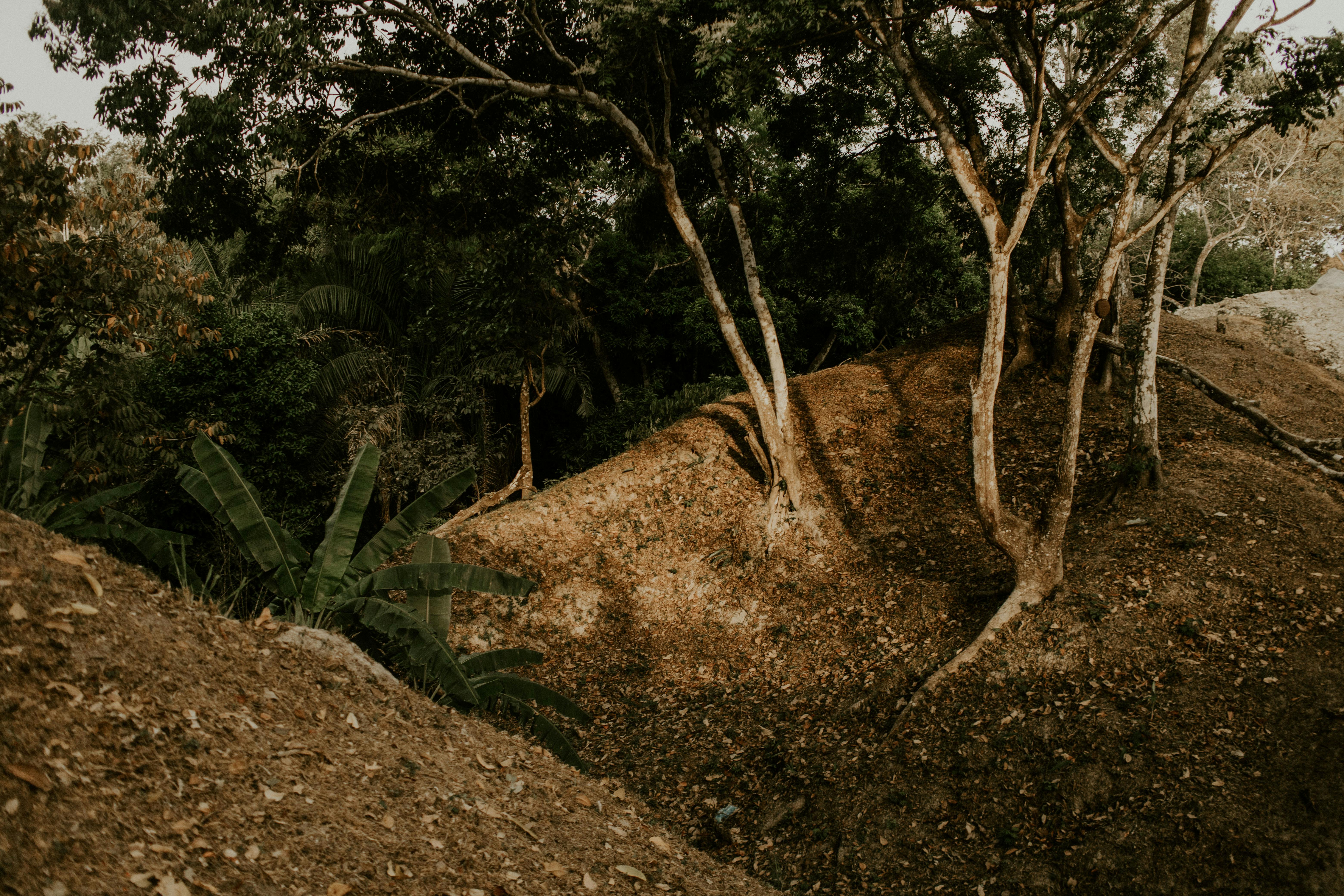 What is the root cause of insecurity?