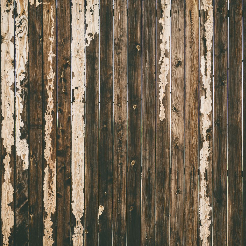 Fence and Decking Painting in Tufnell Park — walls rolled to an even, flat finish