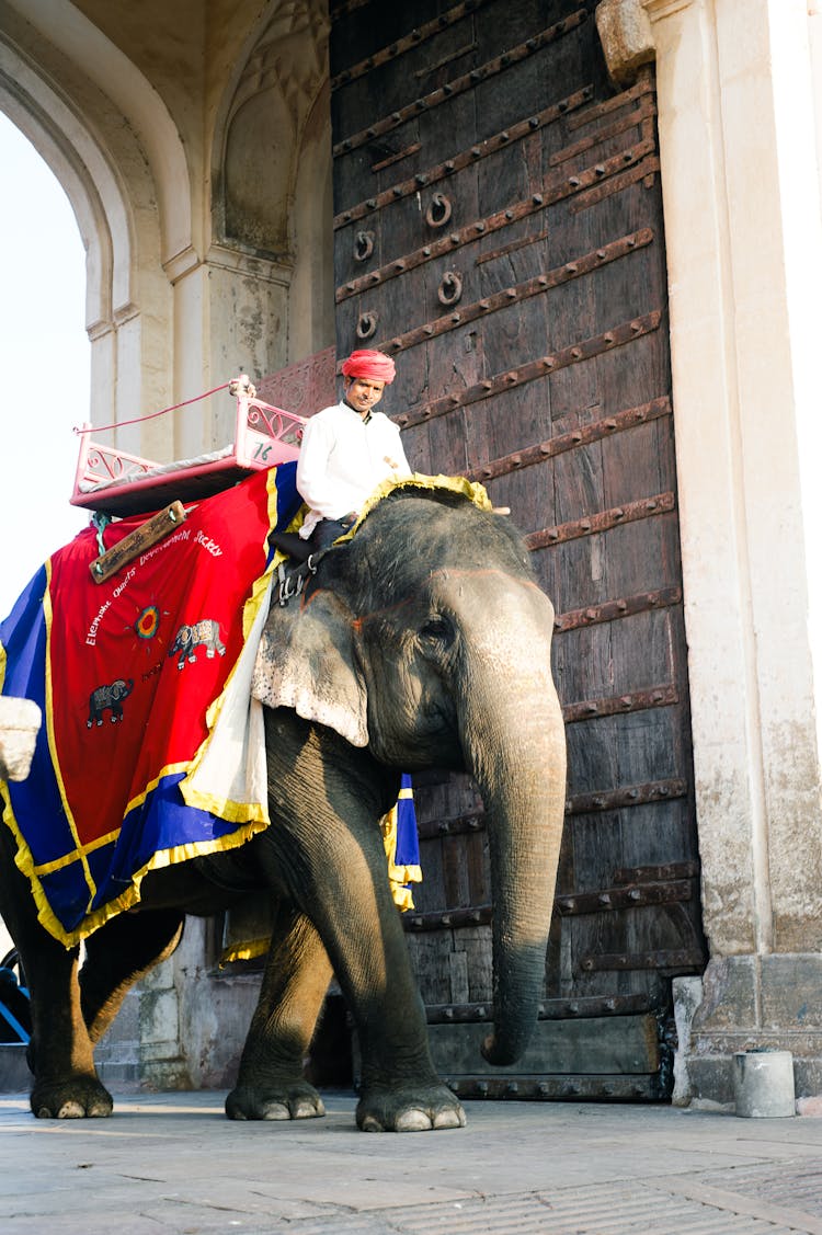 Man Riding An Elephant