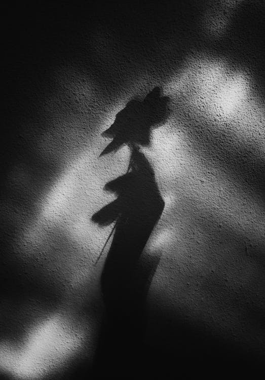 A shadow of a person in black and white