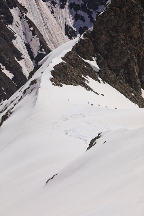 A person walking up a snowy mountain
