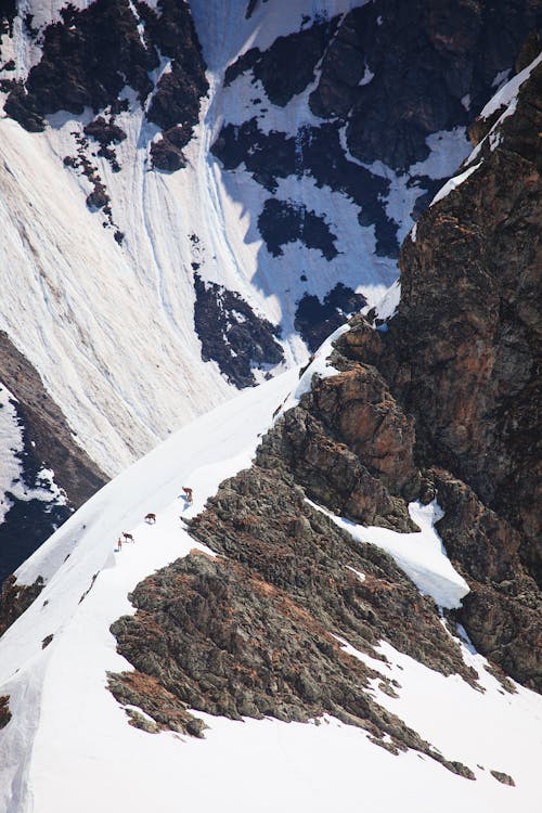 A person is climbing up a snowy mountain