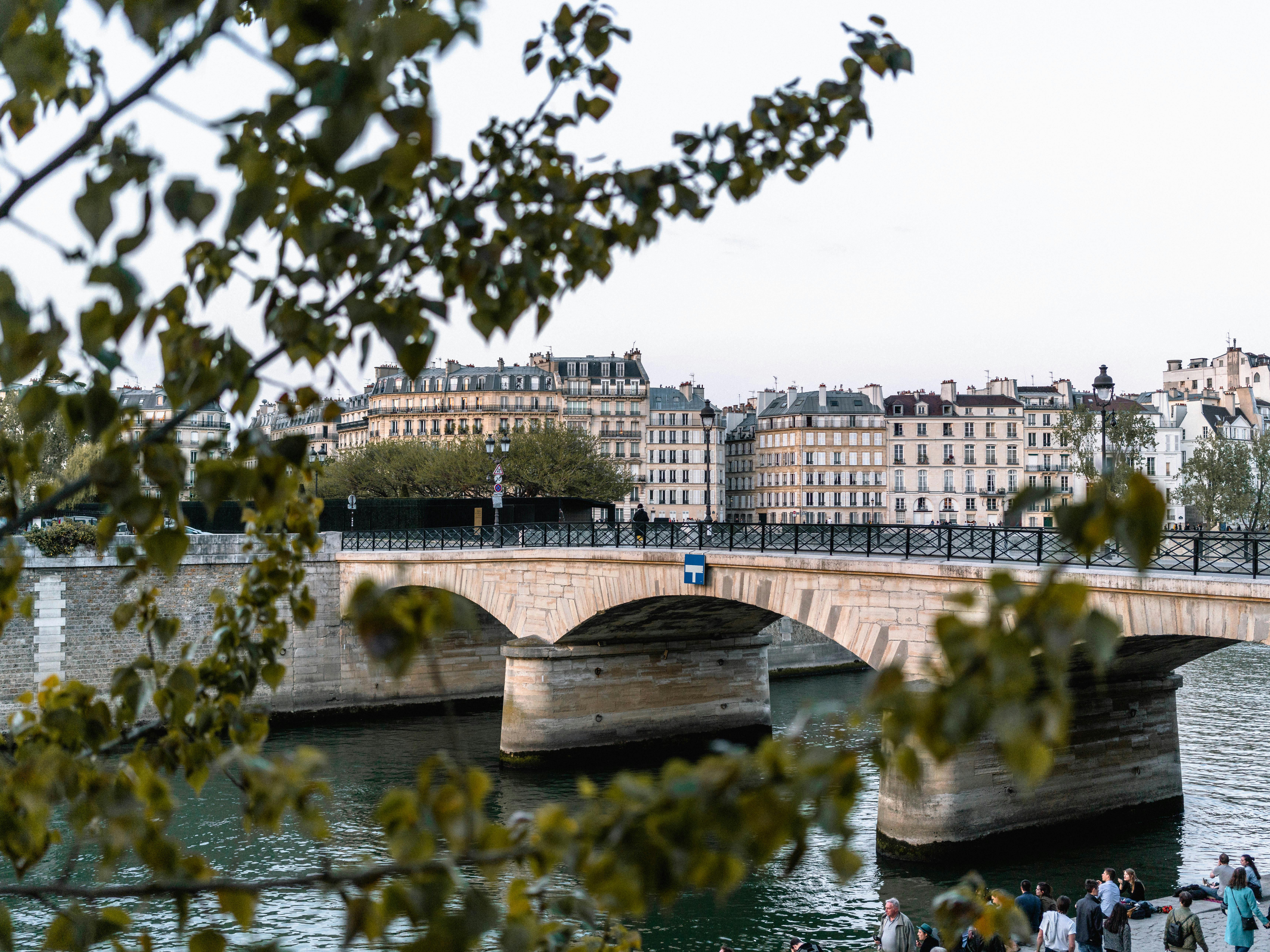 巴黎大桥风景优美，周围有历史建筑和树木