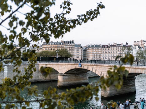 巴黎大桥风景优美，周围有历史建筑和树木