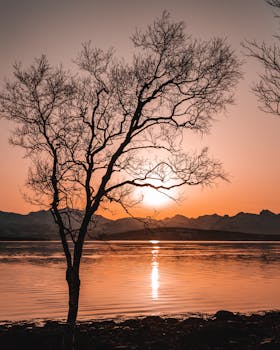 宁静的日落映照在湖面上，树木和山脉的轮廓倒映在水中