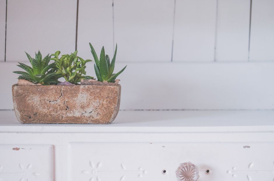 Rustic wooden succulent box on a farmhouse table - artificial succulent centerpieces Rustic wooden succulent box on a farmhouse table - artificial succulent centerpieces