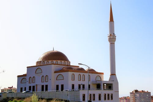 White and Brown Painted Mosque