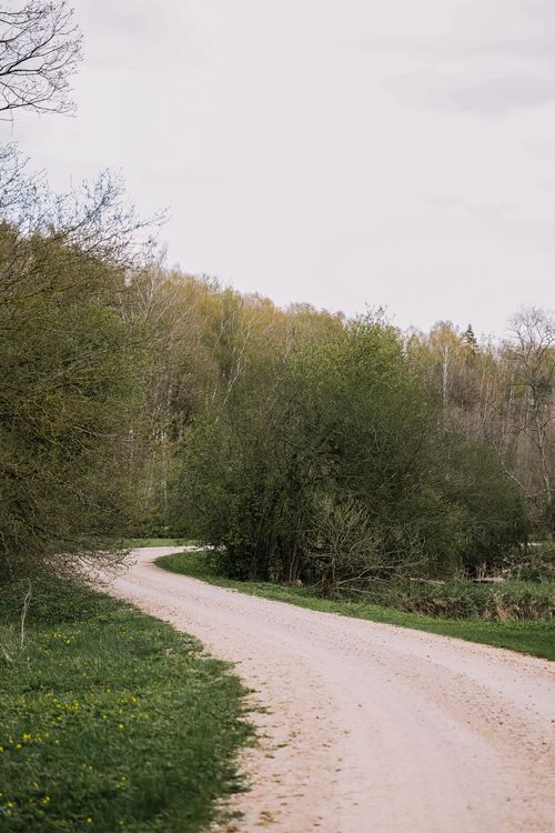 Free A winding dirt road surrounded by lush green trees in a peaceful rural setting. Stock Photo