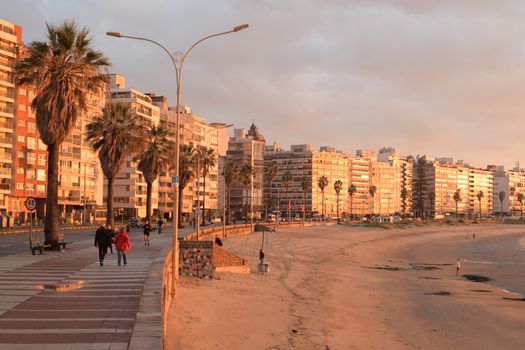 Scenic view of Montevideo beachfront with palm-lined promenade during sunset.